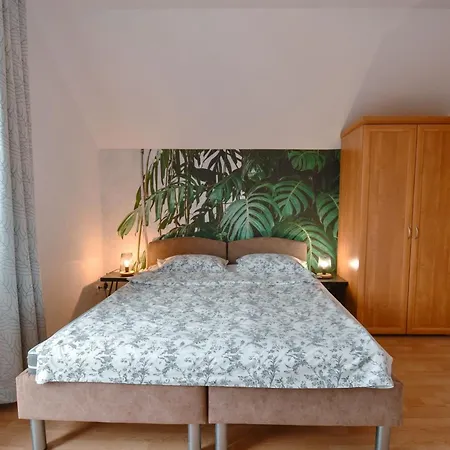Homestay szállás Dom Jaka